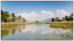 Wetland 1