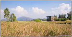 Wetland 2