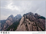 IMG_5776 copy