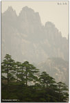 IMG_5840_copy