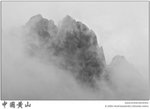 IMG_6056 copy