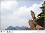 IMG_6862 copy