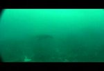 
Video  : Bali diving 2007
