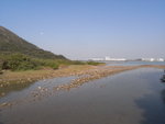 R0010131
