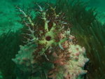 DSCF1350_resize