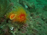 DSCF1352_resize