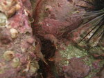 DSCF1358_resize