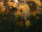DSCF1359_resize