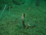 DSCF1367_resize