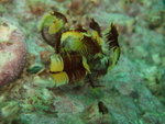 DSCF1375_resize