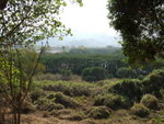 DSCF1749
