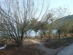 DSCF1772