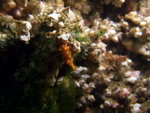 DSCF1149