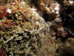 DSCF1170