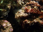 DSCF1188