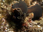 DSCF1196