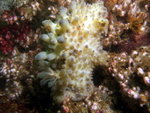 DSCF1235