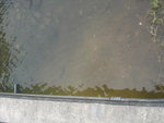 DSC03905