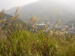 DSC03910