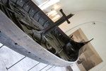 IMG_4910