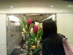 DSC00092