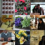 collage134