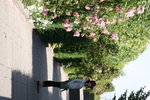 IMG_4744
