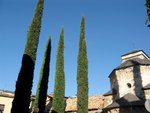 IMG_2096