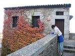 IMG_2116