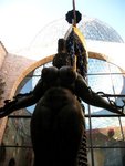 IMG_2239