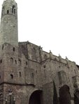 IMG_1753