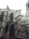 IMG_1761