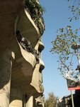 IMG_1391