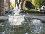 IMG_2613