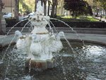 IMG_2614
