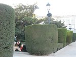 IMG_2641