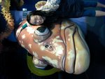 IMG_1705