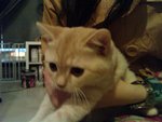 DSC00200