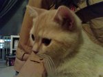 DSC00202