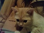 DSC00203