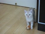 IMG_3259