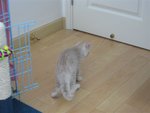 IMG_3261