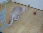 IMG_3273