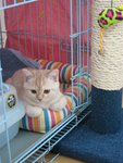 IMG_3281