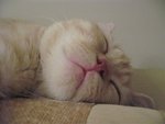 IMG_3517