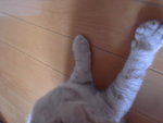 R0010384