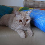 R0010390