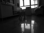 R0010403