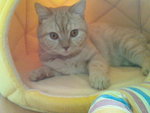 DSC00475