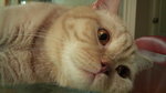 DSC00052